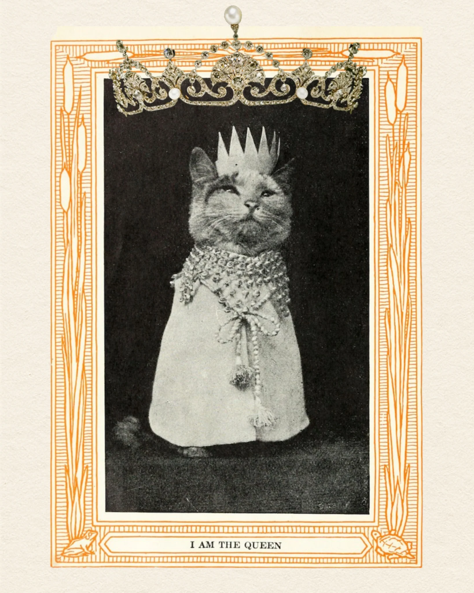 Adornment White - Image 5