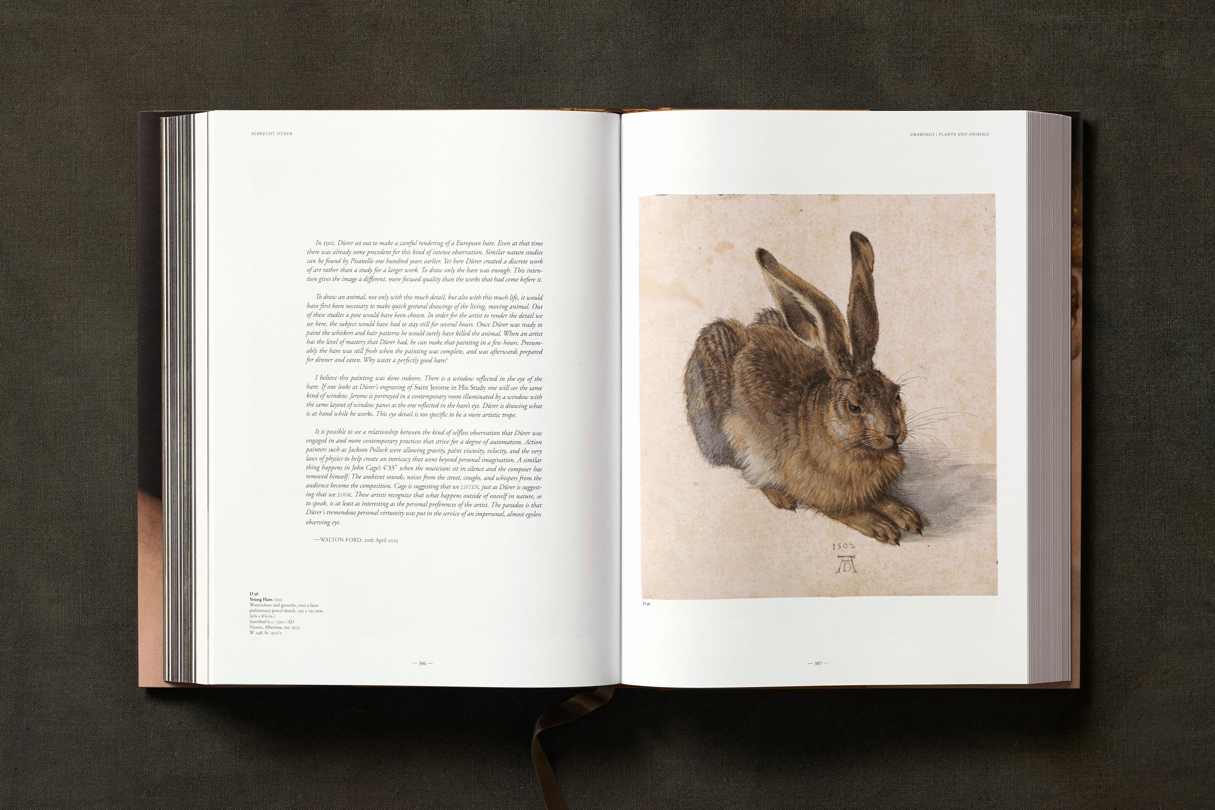 Albrecht Dürer: The Complete Paintings - Image 4