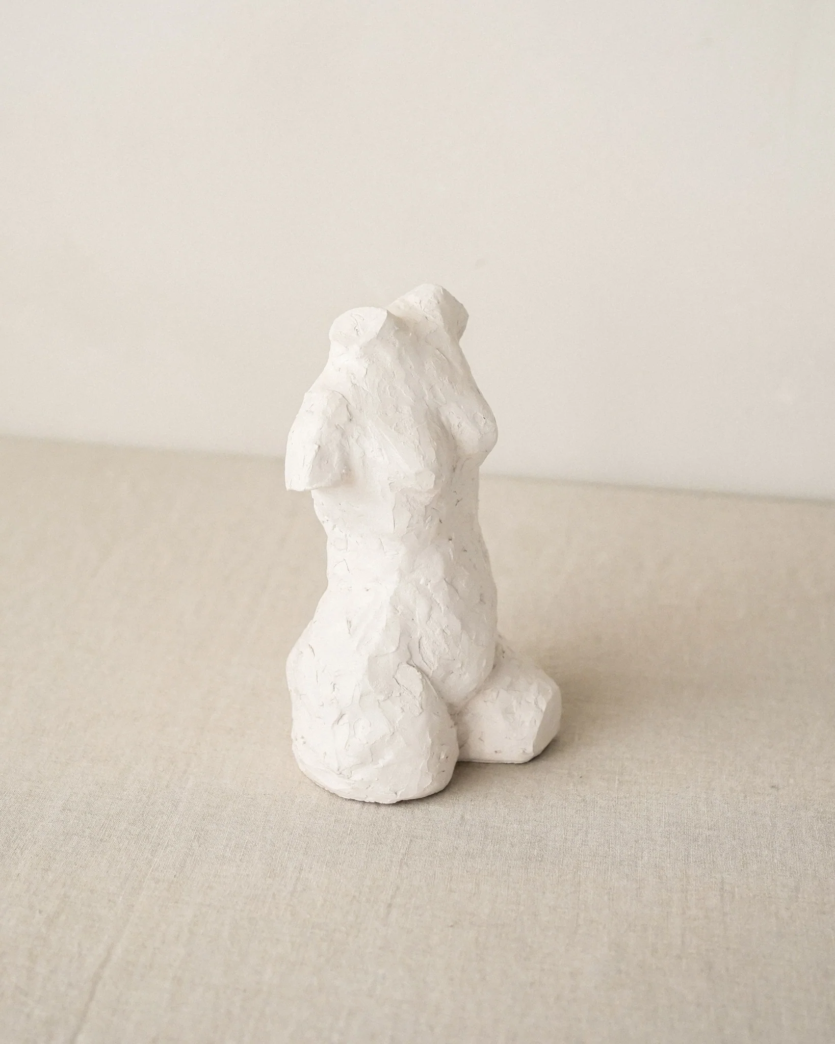 Curve Torso - Image 3