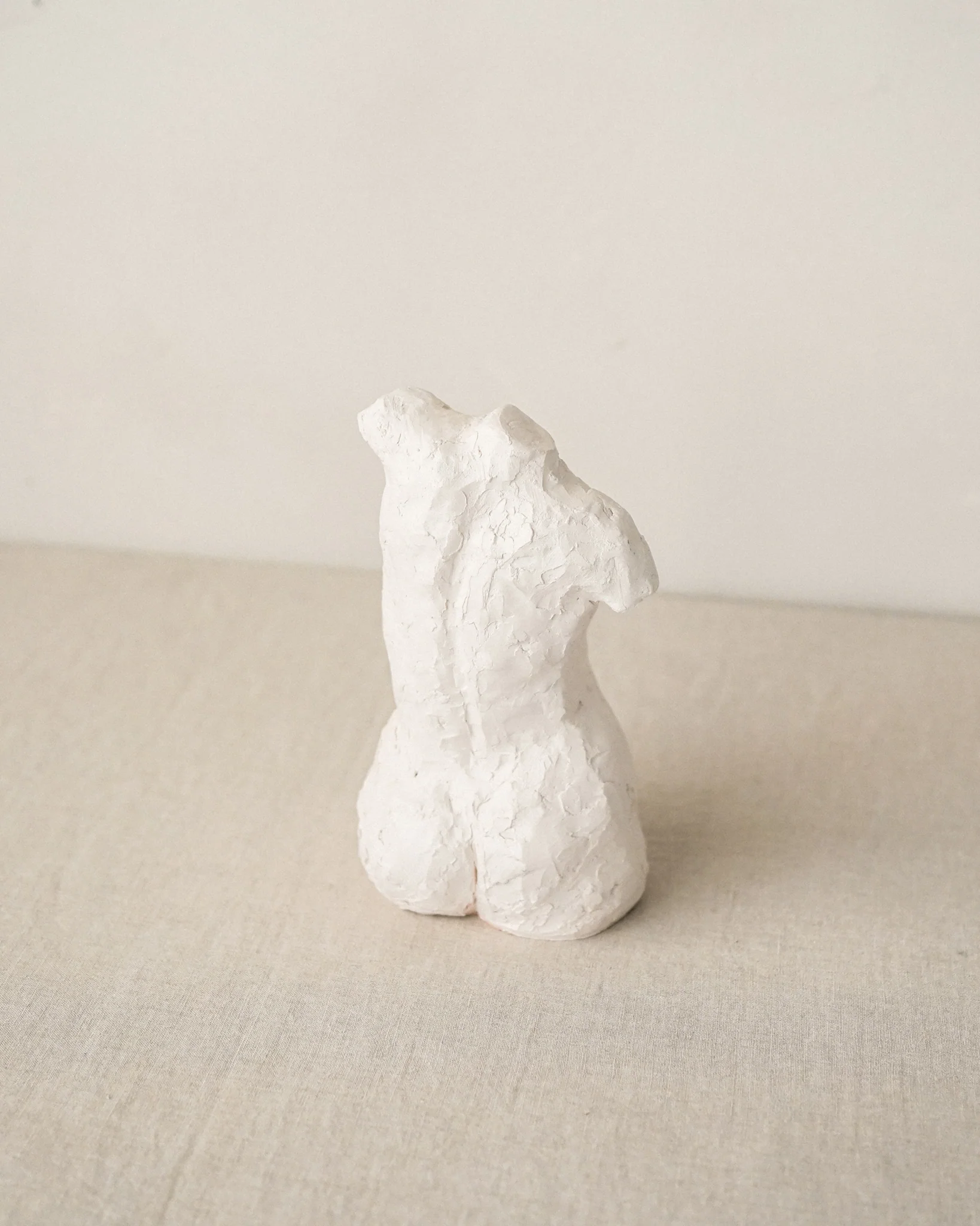 Curve Torso - Image 4