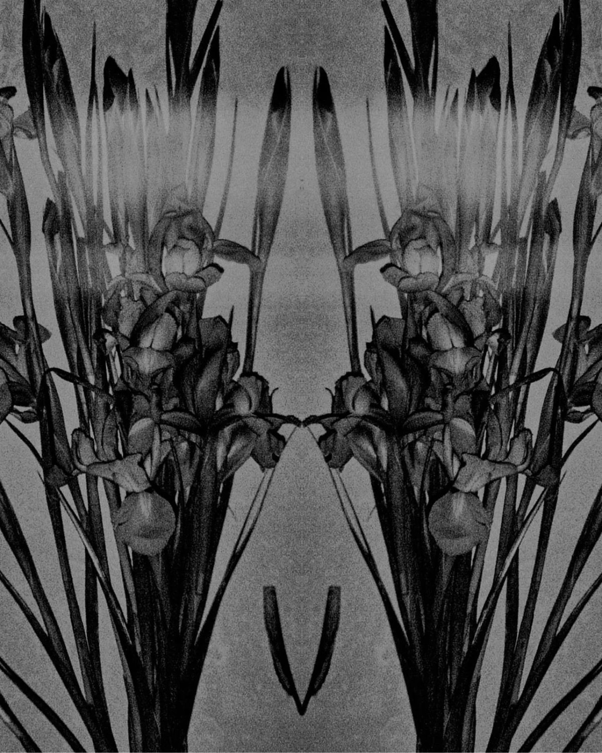 Ēmergere - Image 3