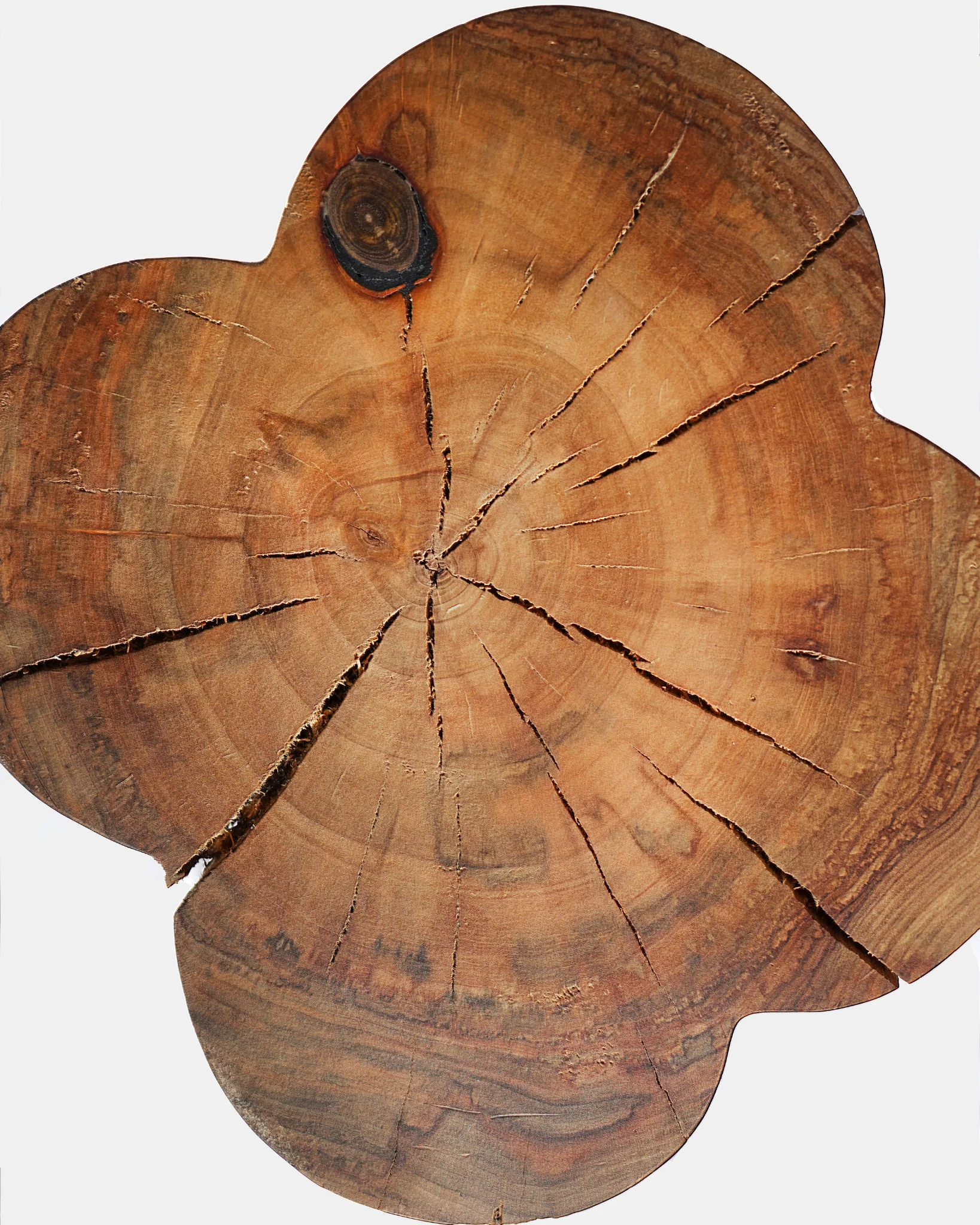 Lotus Coffee Table - Image 3