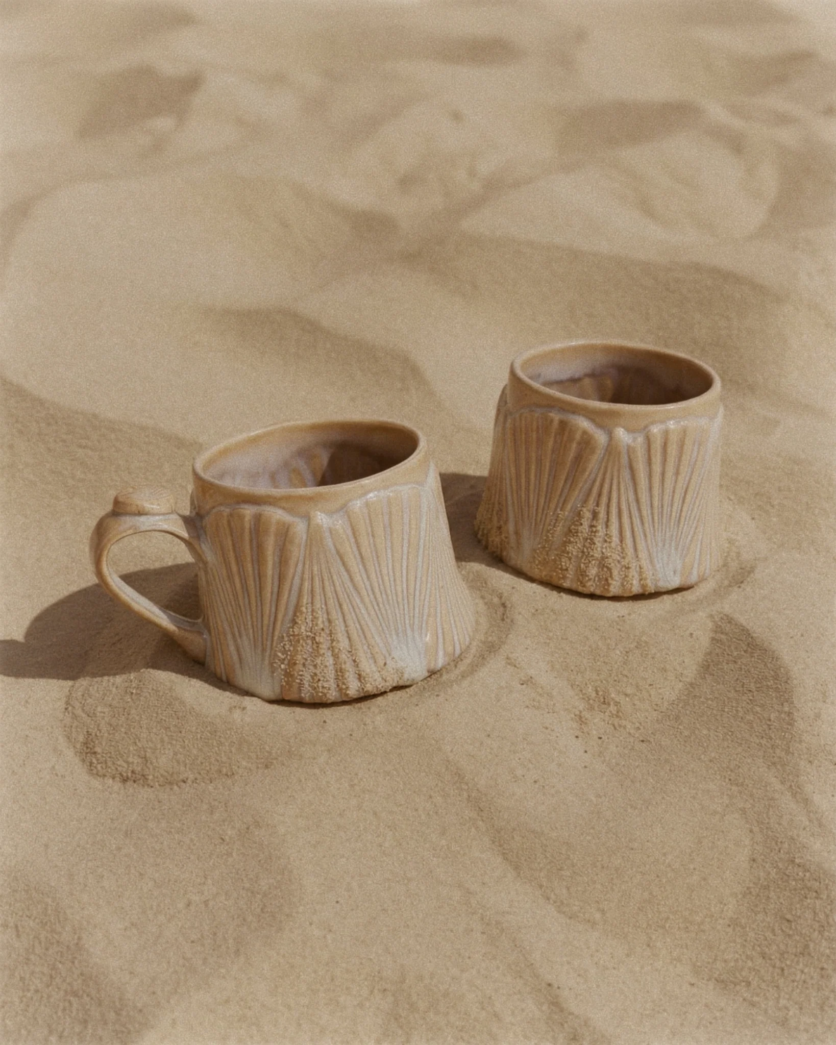 Scallop Cup Rising Sun - Image 4