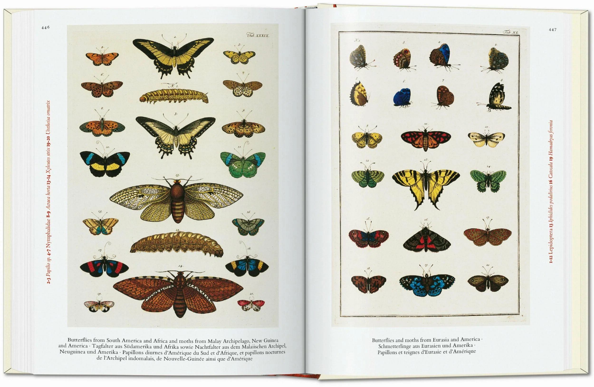 Seba. Cabinet of Natural Curiosities - Image 7