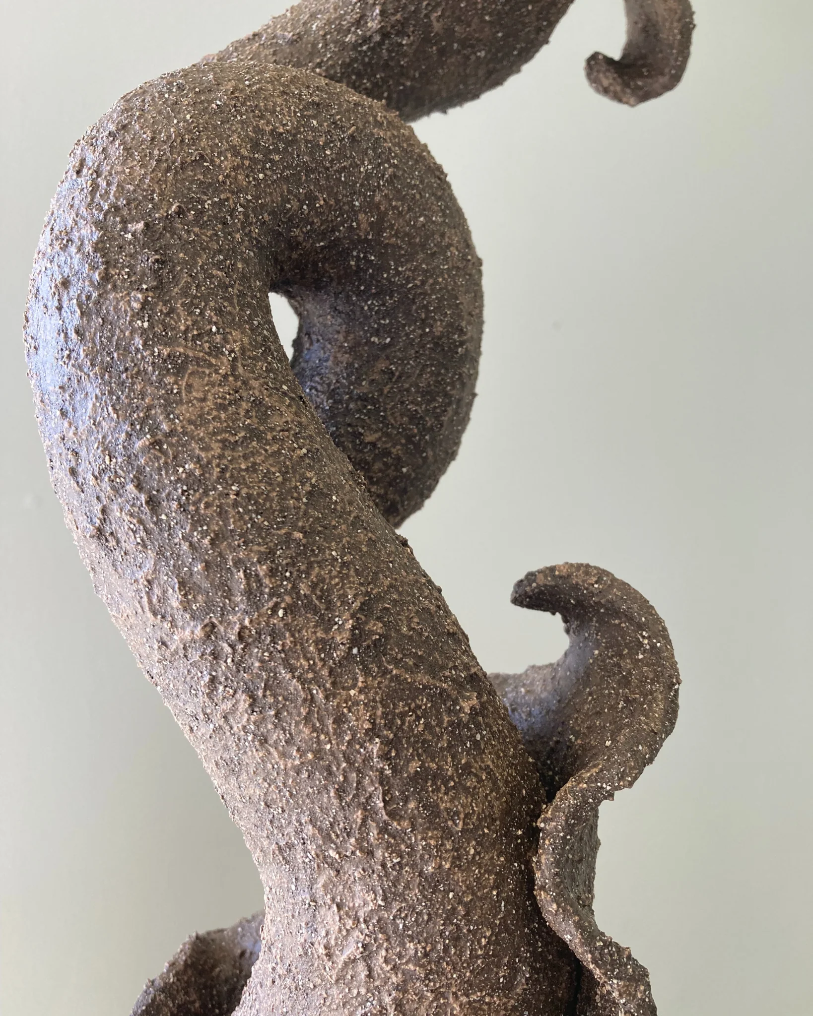Sepals - Image 3