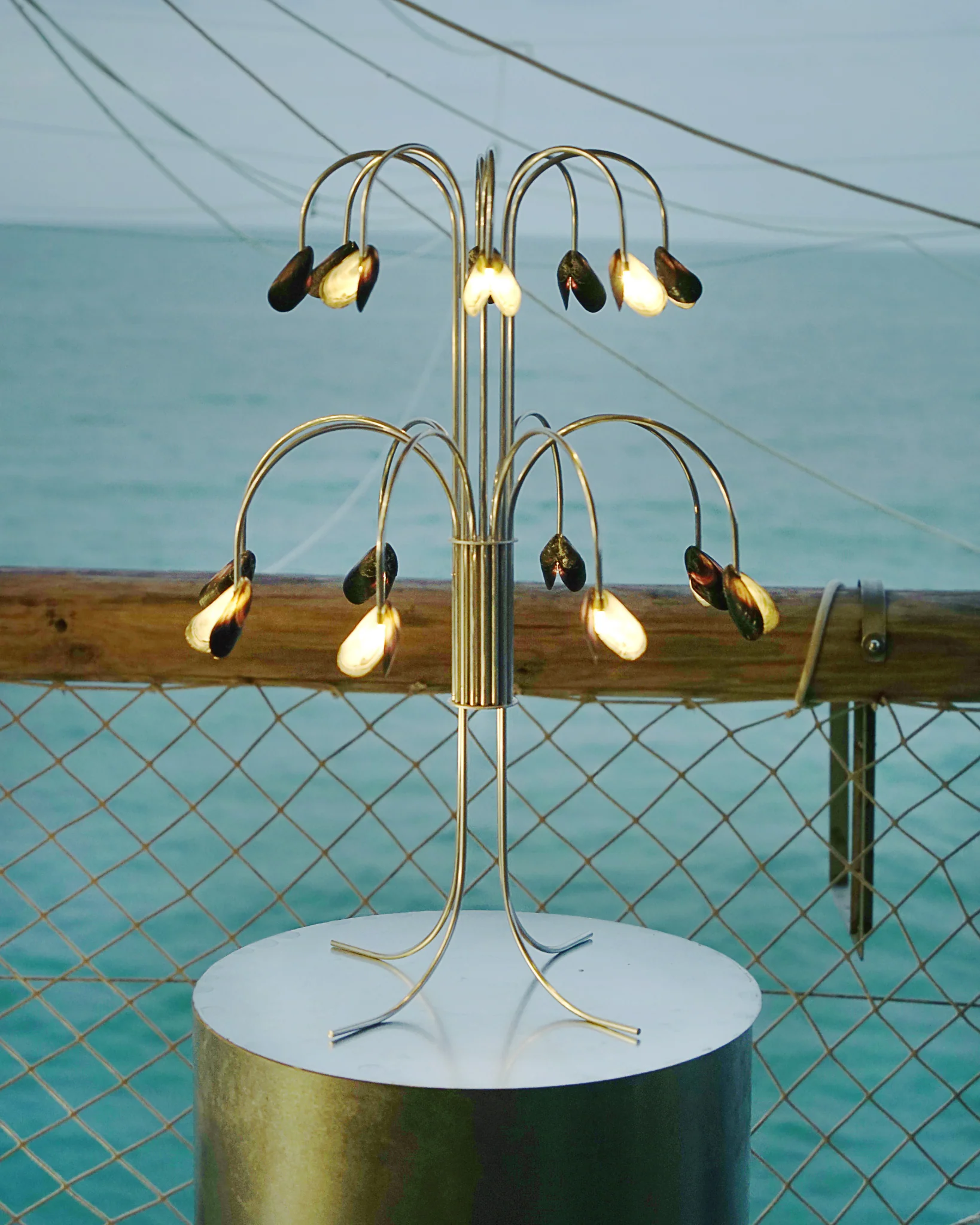 Shell Light - Image 4