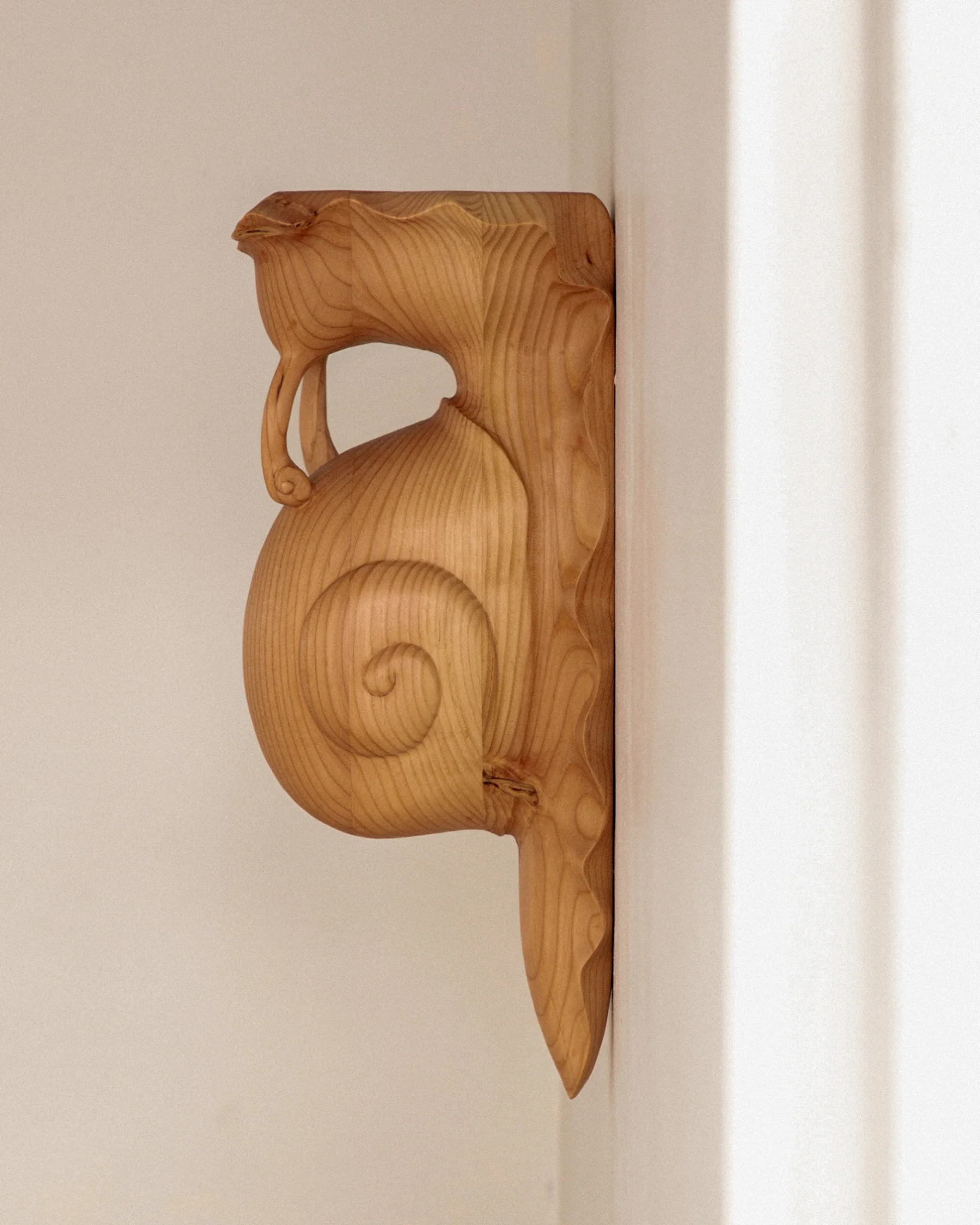 Snail Shelf