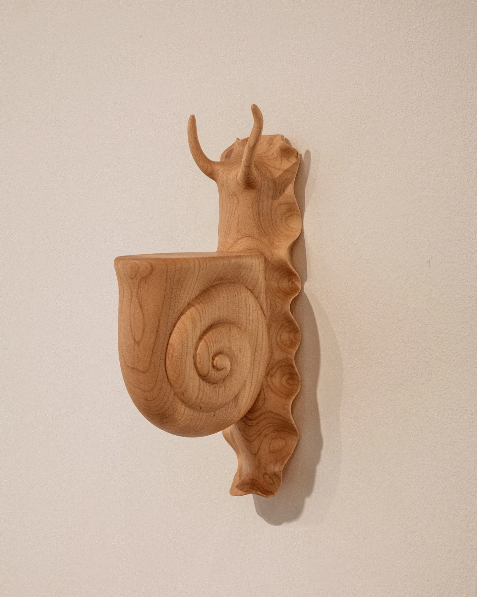 Snail Shelf - Image 4