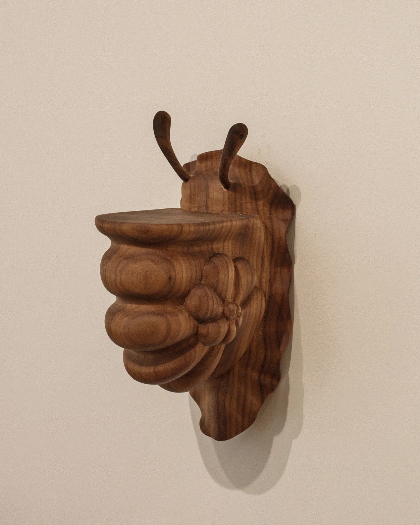 Snail Shelf - Image 7