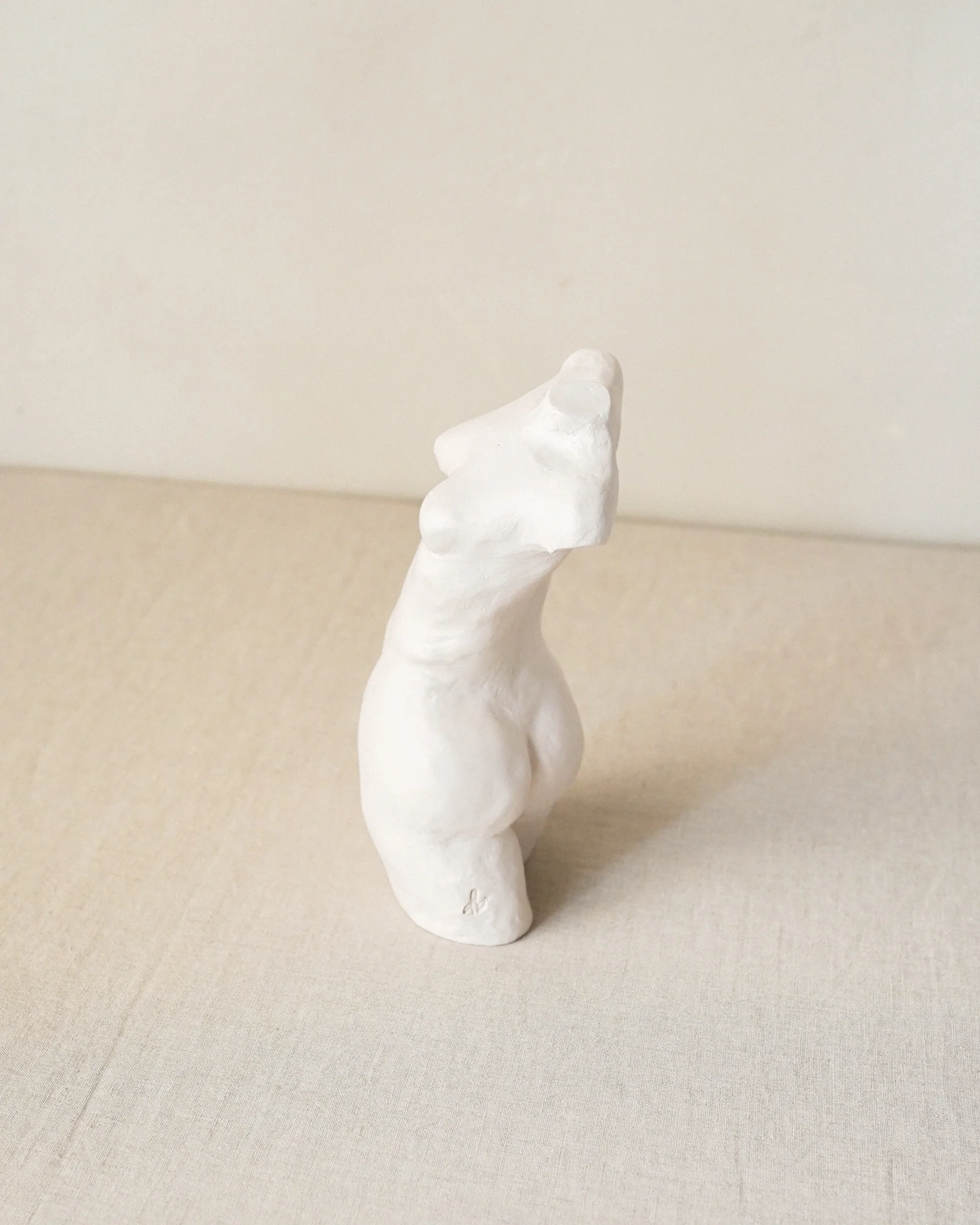 Smooth Torso - Image 3