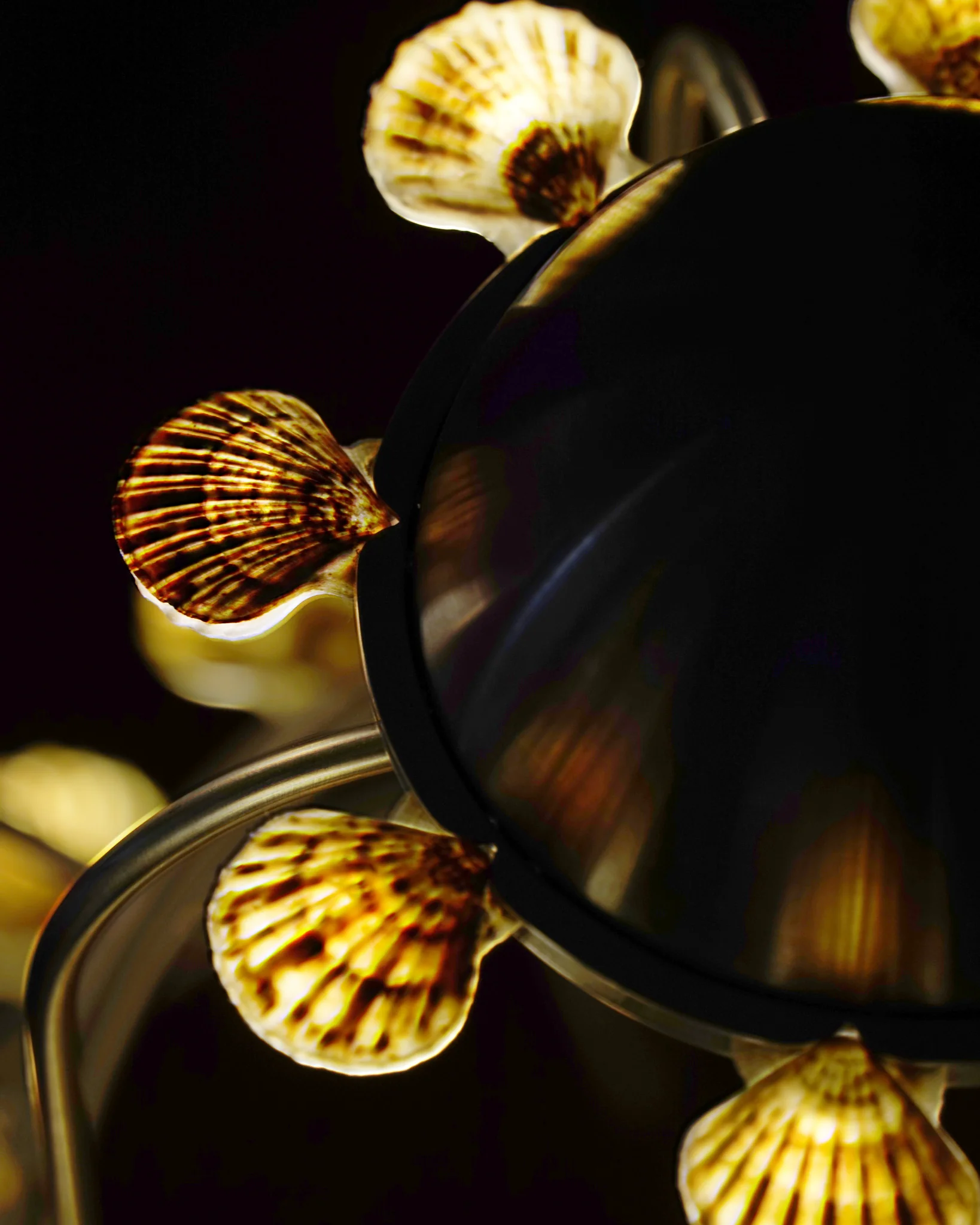 The Lamp With Shells - Image 3